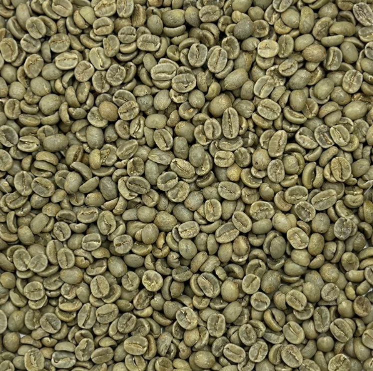 Costa Rica Tarrazu SHB Washed 1lb (Whole Bean)